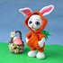 Easter Bunny in Carrot Tracksuit