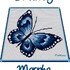 MORPHO BUTTERFLY - pattern for c2c crochet blanket