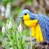 Anleitung Bastele die lustige Garnvogel- Blaumeise