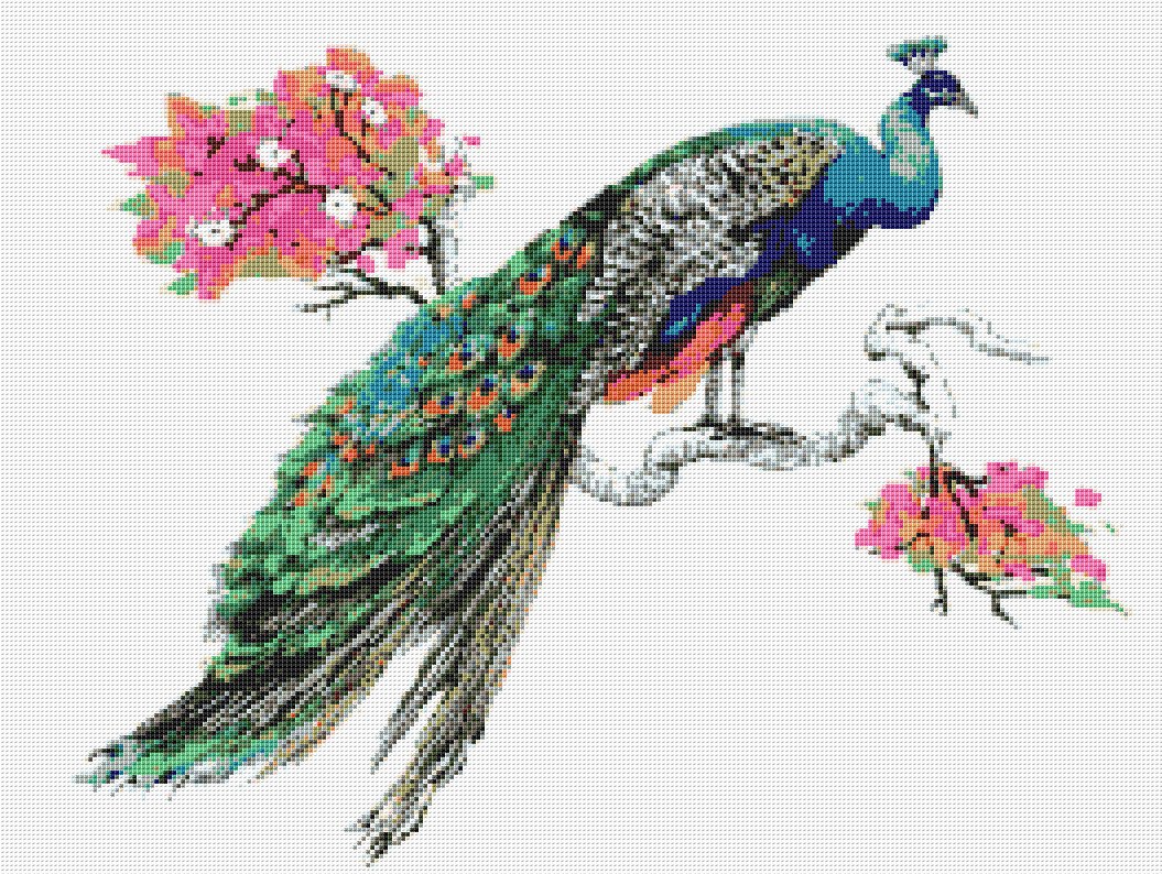 Peacock 6 Cross Stitch Pattern PDF - Photos and pictures