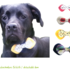 BRIDA Bow for Dog Collar in 4 sizes Sewing Pattern