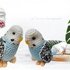 Crochet pattern Australian parakeet