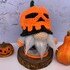 Crochet pattern halloween gnome with pumpkin