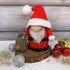 Crochet Pattern Santa Claus Gnome