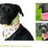 BANDALOO Winter. Dog bandana-scarf. Sewing Pattern