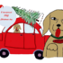 digital image file Christmas dog