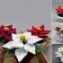 Small poinsettia in a pot - easy from scraps of yarn