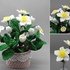 Christmas rose in crochet pot or for the vase - easy & versatile