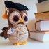 Owl Graduate. Crochet pattern