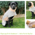 Add-on Pack for dog coat PELERIN, sewing patterns