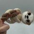 Crochet Pattern - Susi´s Mini Friends: Sloth "Stoffl"