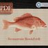 cross stitch pattern Red Snapper