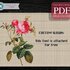 Pink Rose > Cross Stitch Pattern PDF