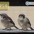 Sparrows > Cross Stitch Pattern PDF