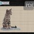 Kitty Cat > Cross Stitch Pattern PDF