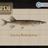 Pickerel > Cross Stitch Pattern PDF