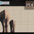 Elephant Bum > Cross Stitch Pattern PDF