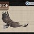 Flying Eagle > Cross Stitch Pattern PDF