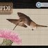 Hummingbird > Cross Stitch Pattern PDF