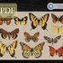 Butterflies > Cross Stitch Pattern PDF