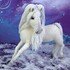 Crochet pattern The white Horse