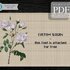 White Rose > Cross Stitch Pattern PDF