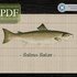 Atlantic Salmon > Cross Stitch Pattern PDF