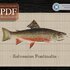 Brook Trout > Cross Stitch Pattern PDF