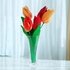 Bicolor tulip, two-tone. Crochet pattern