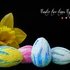 Multi Color easter eggs. Crochet pattern