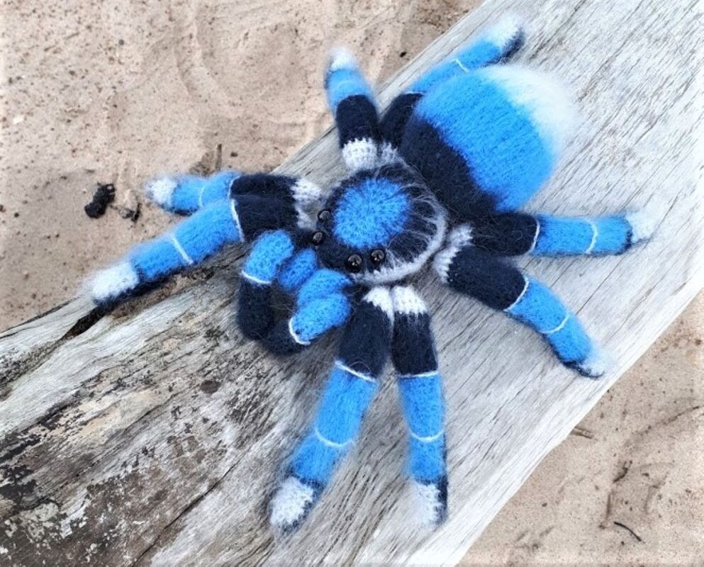 Crocheted Blue Spider Amigurumi tarantula Crochet pattern Photos