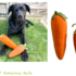 CARROT Dog Toy, 2 sizes, sewing pattern