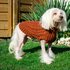 DIY Hundepullover stricken: Anleitung im Twisted Left Design