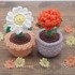 Daisy & Marigold in a Flower Pot- PDF Crochet Pattern