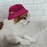 Pink bucket hat for cats and small dogs crochet pattern PDF digital