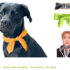 SOSCHA neckerchief for dogs & scarf or hair band for owner. Sewing pattern