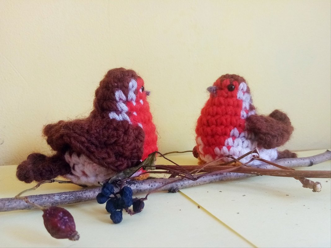 European Robin. Crochet pattern - Photos and pictures