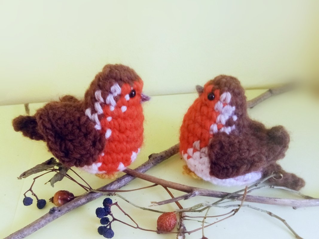 European Robin. Crochet pattern - Photos and pictures