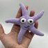 Susi´s Mini-Friends: Seastar "Sugar"