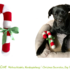 CANDY CANE, Zuckerstange Weihnachtsdeko, Hundespielzeug Anleitung + Schnitt