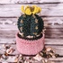 Easter basket cactus crochet pattern PDF and video tutorial