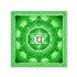 ANAHATA - HEART CHAKRA - pattern for sc crochet blanket