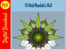 Printable Adult Colouring Book Digital, 10 Animal Shape Mandala's