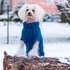 Strickanleitung - Aijos Basic Sweater Hundepullover