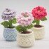 Dahlia in a Flower Pot- Crochet Flower Pattern- English