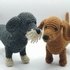 Dachshund - crochet pattern by NiggyArts