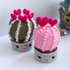 Сrochet pattern valentines heart cactus