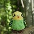 Crochet Pattern Budgie Baby Kiwi!