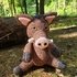 Boris the Boar Crochet Amigurumi Pattern (English)