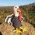 Trenton the Turkey Crochet Amigurumi Pattern (English)